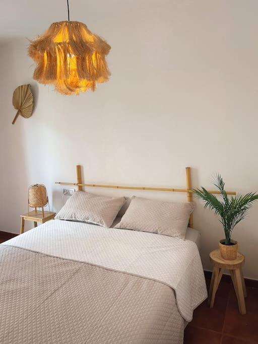 Casa Bamboo Corralejo, Espacioso, Piscina Y Parking
