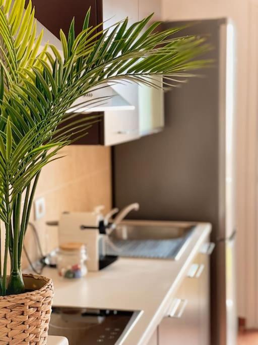 Casa Bamboo Corralejo, Espacioso, Piscina Y Parking Corralejo