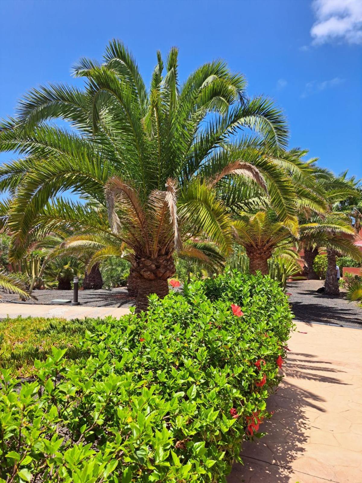 Casa Esperanza Dunas - Amazing With Stunning View * Corralejo