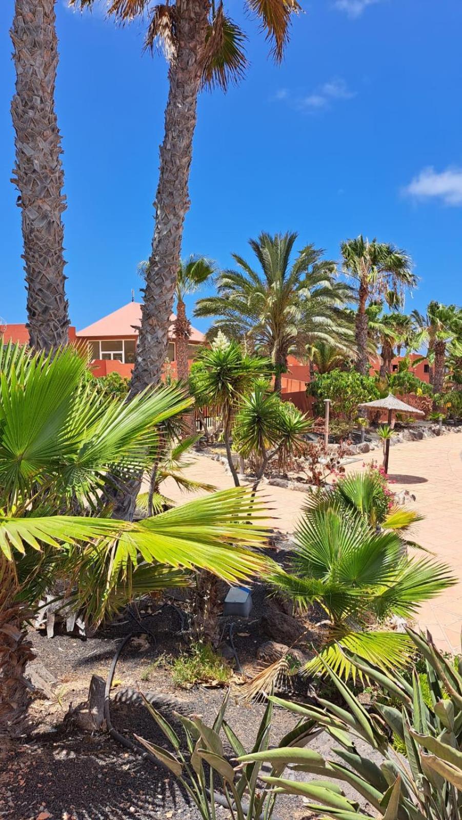 Casa Esperanza Dunas - Amazing With Stunning View *