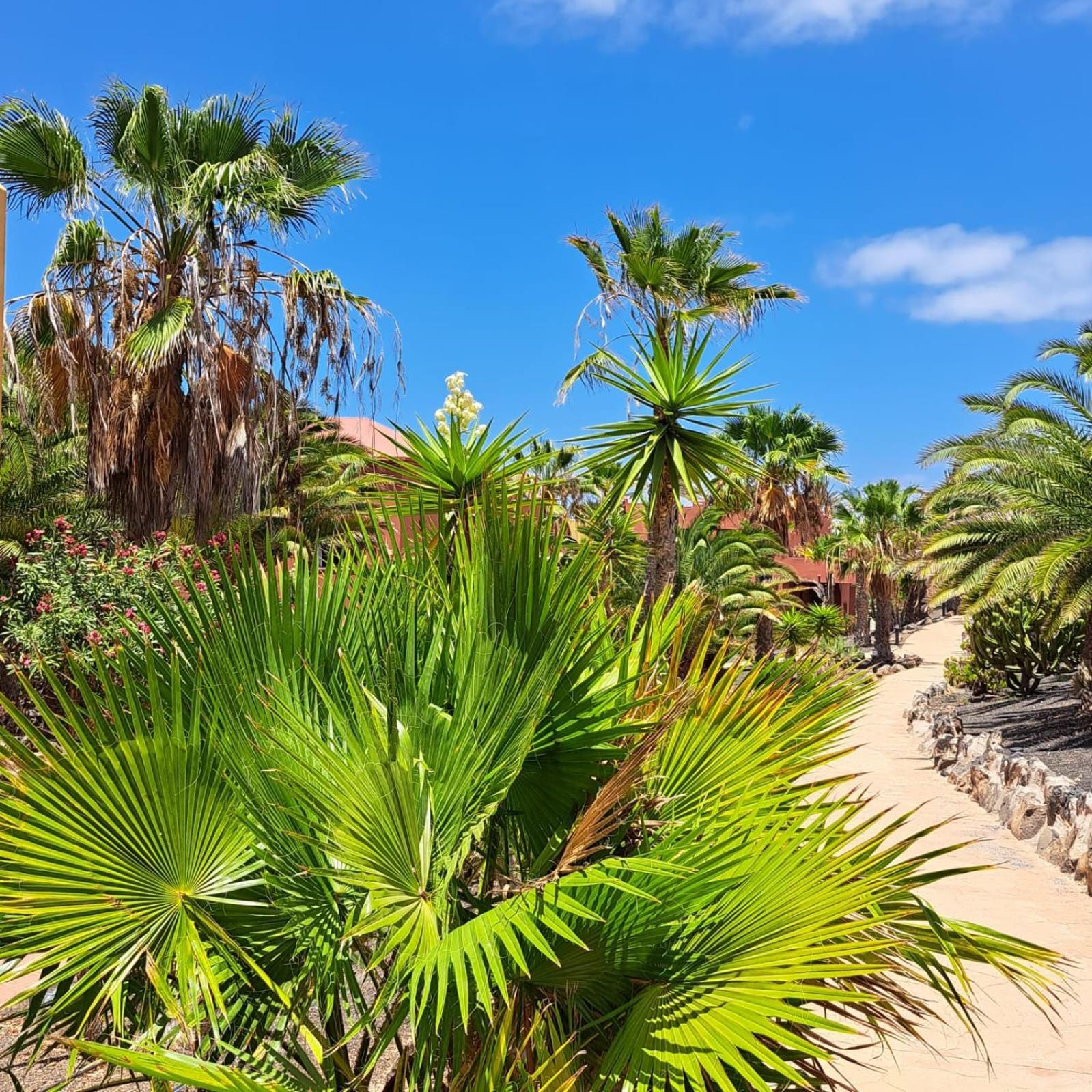 Casa Esperanza Dunas - Amazing With Stunning View * Corralejo