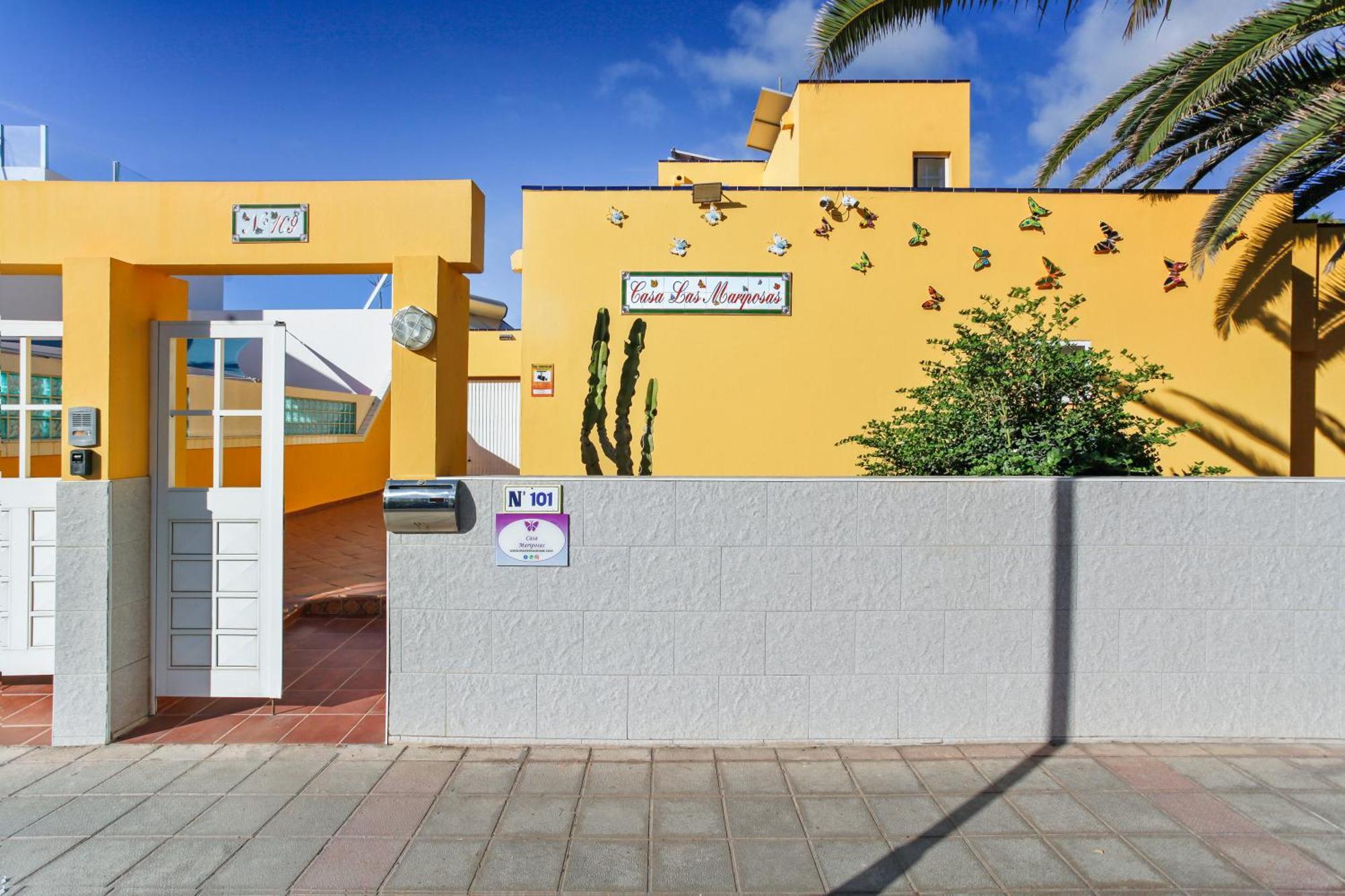 Mariposas Corralejo