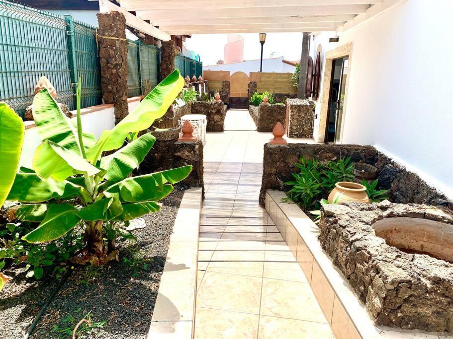 Casa Gato Apartment Corralejo