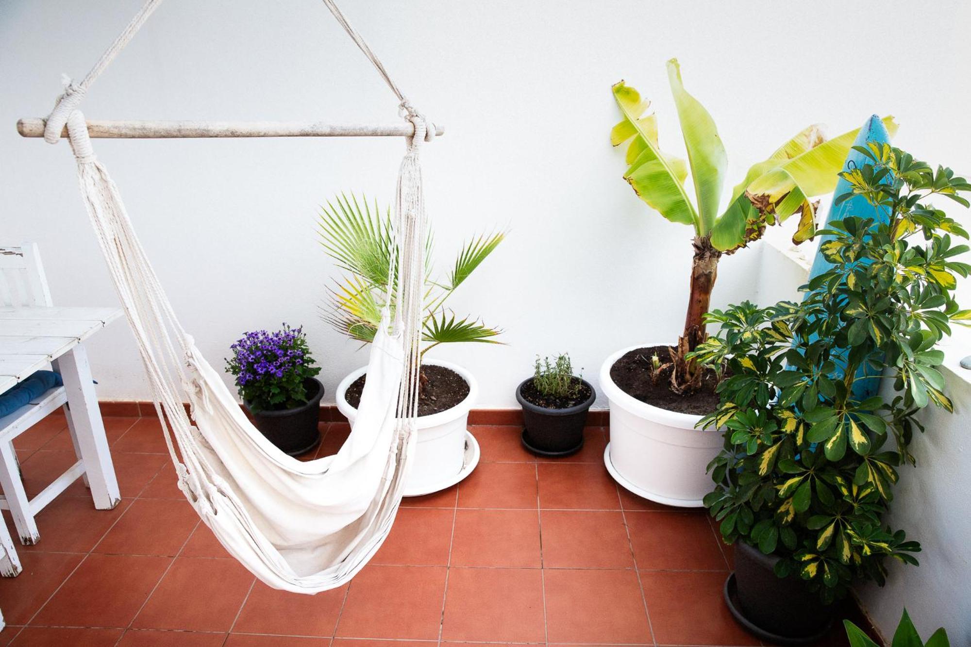 Surf Dream Surfhouse Hostel *