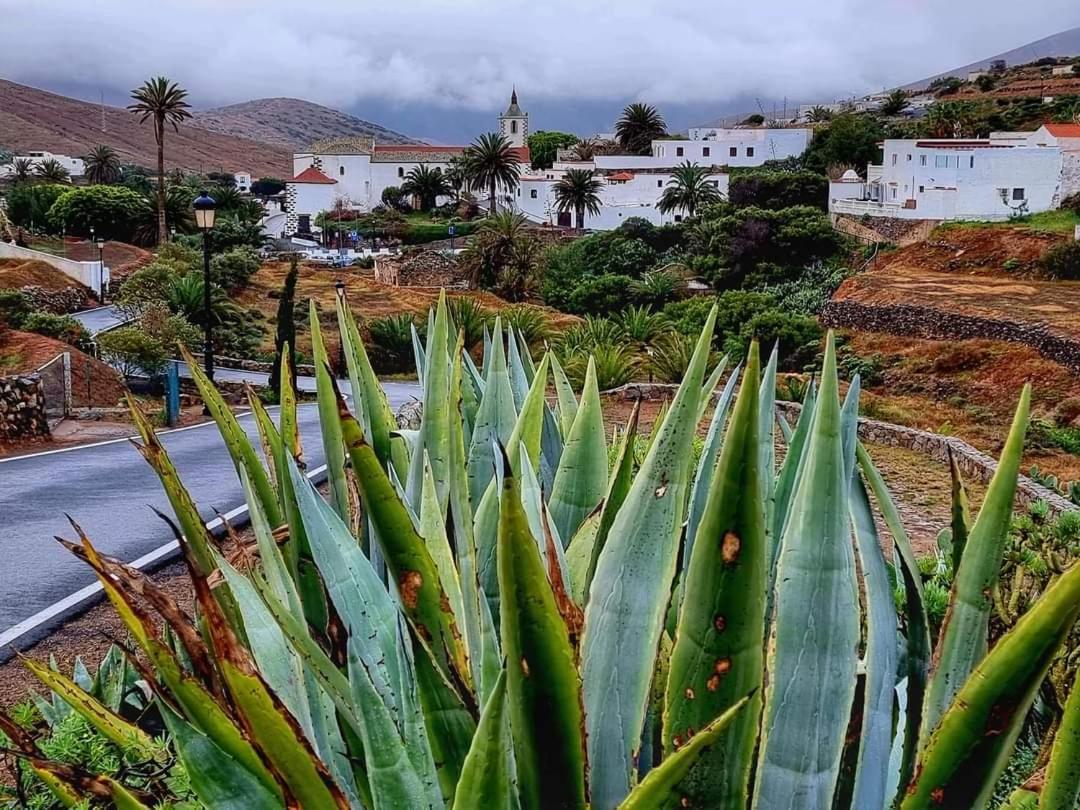Apartment Casa Del Mar Air-conditioned With Swimming Pools - Playa Corralejo