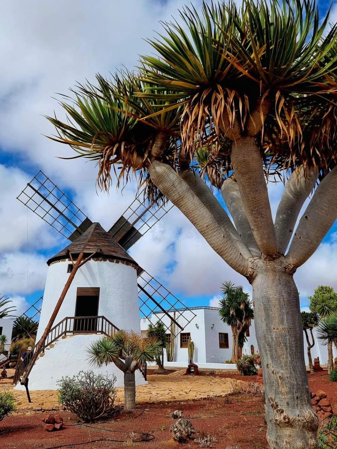 Casa Del Mar Air-conditioned With Swimming Pools - Playa Corralejo
