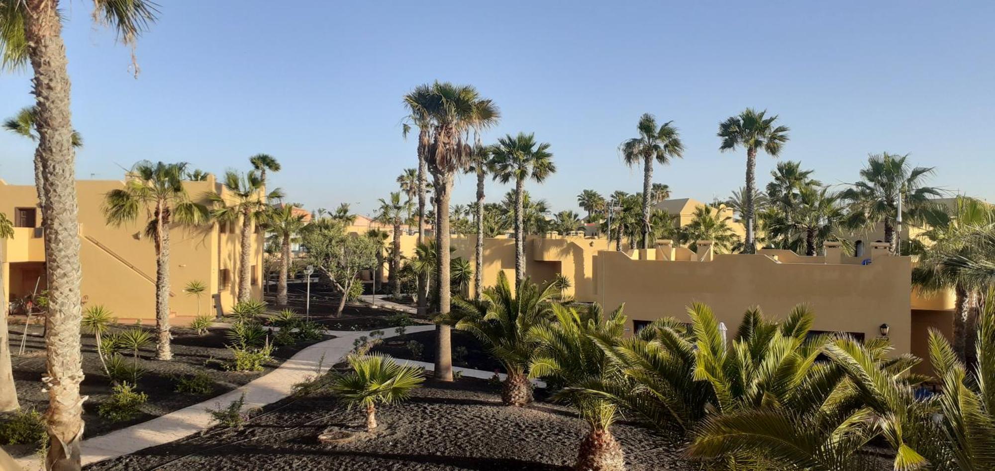 Oasis Waves House Papagayo Appartement Corralejo