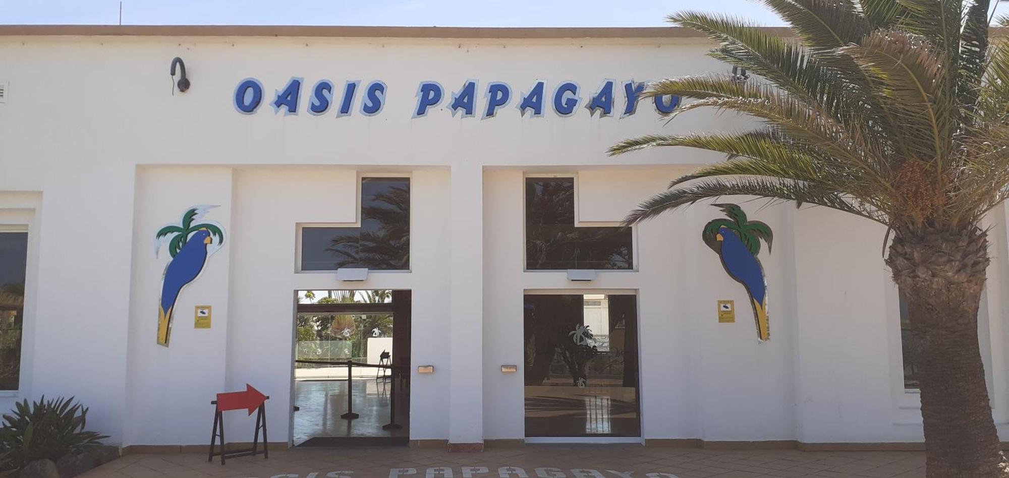 Oasis Waves House Papagayo