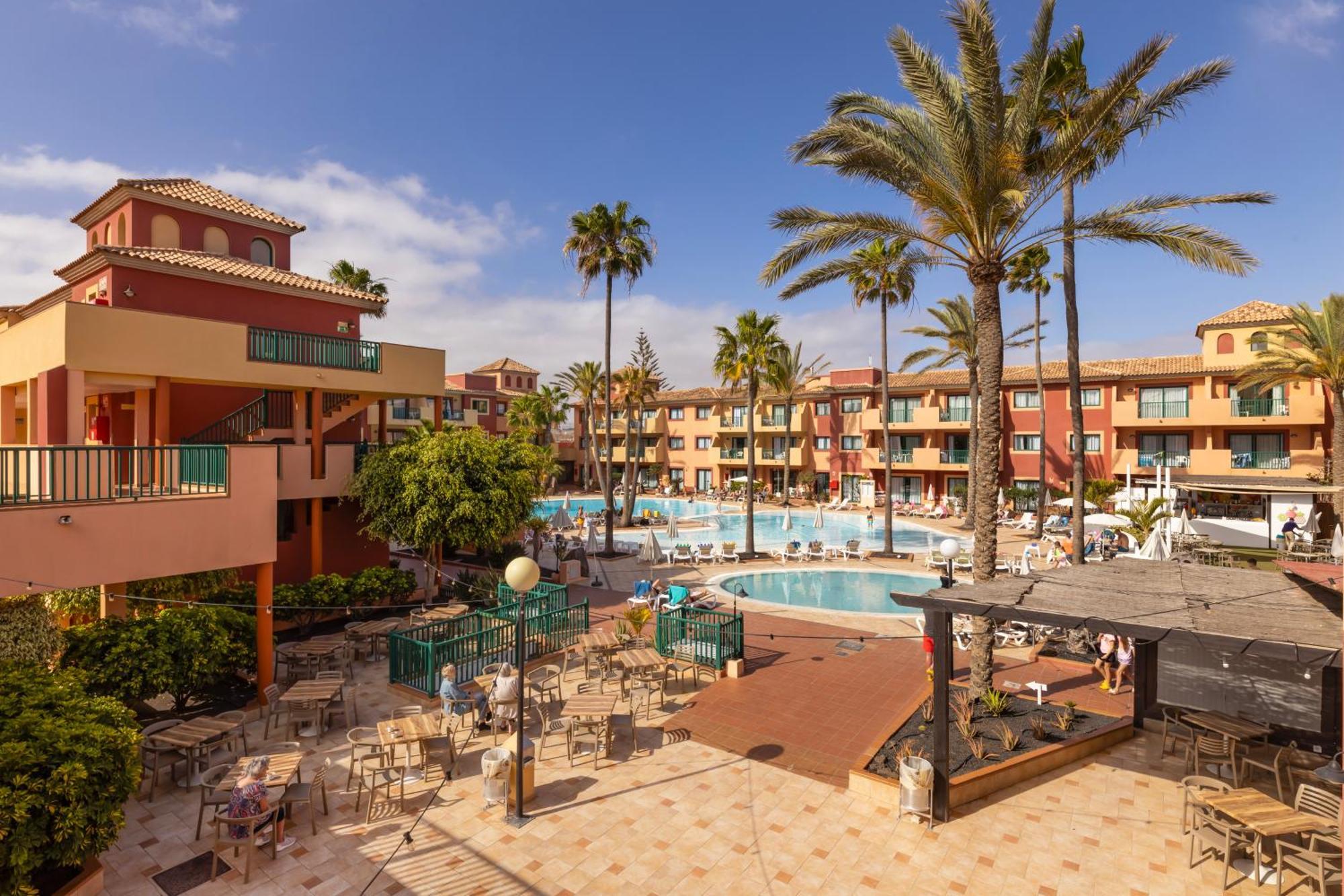 O7 Aloe Corralejo