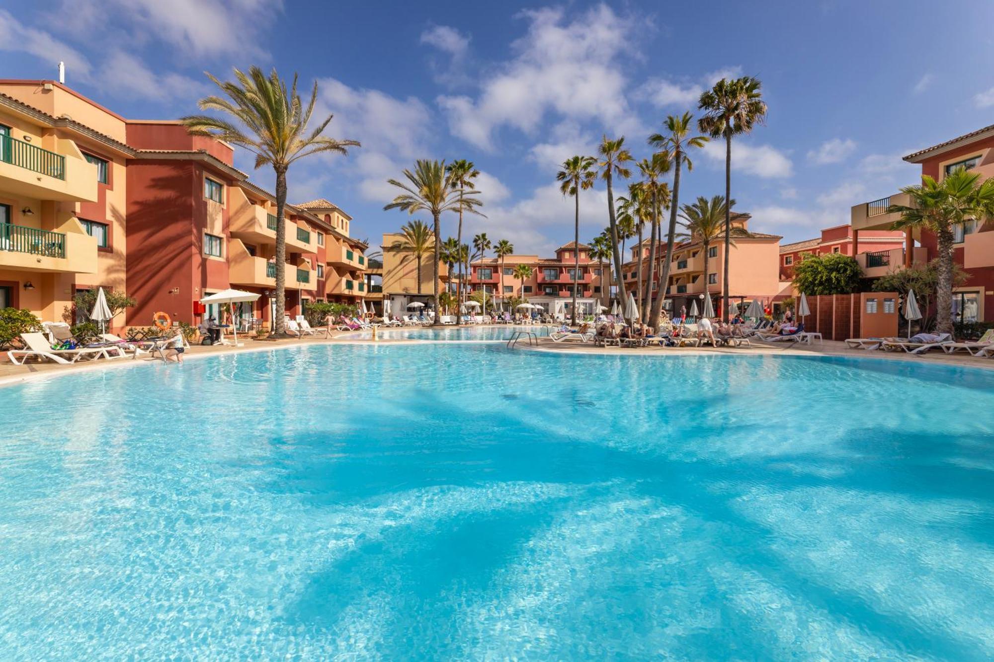 O7 Aloe Corralejo