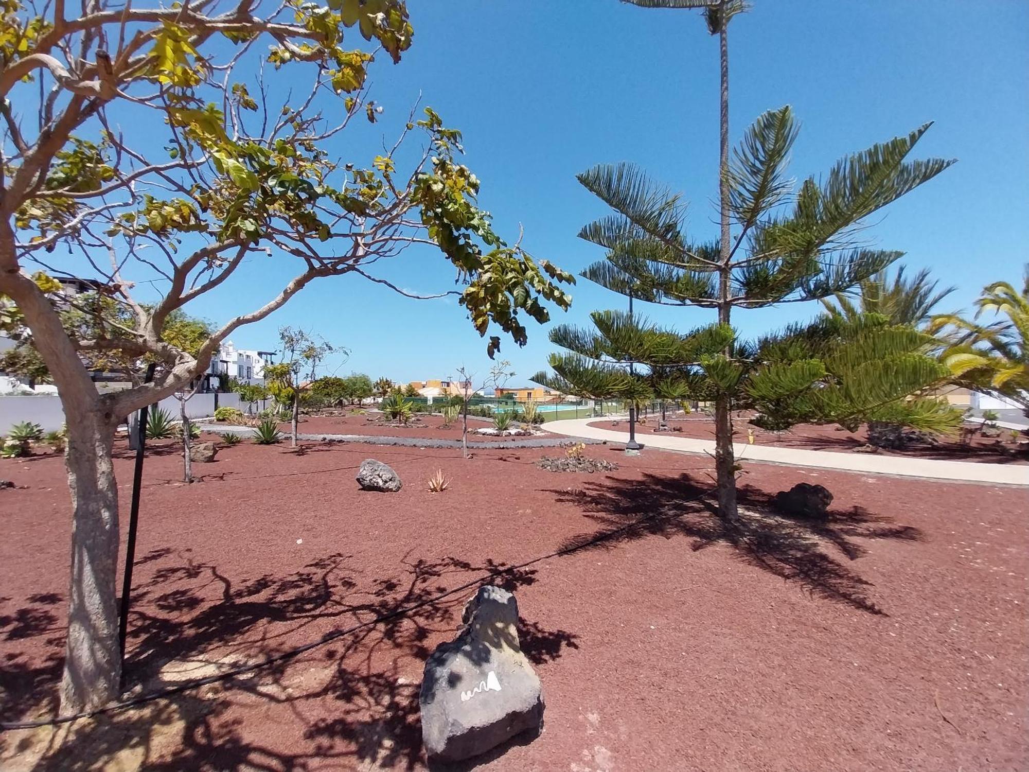 Estrella Marina By Sea There Fuerteventura Holiday home *
