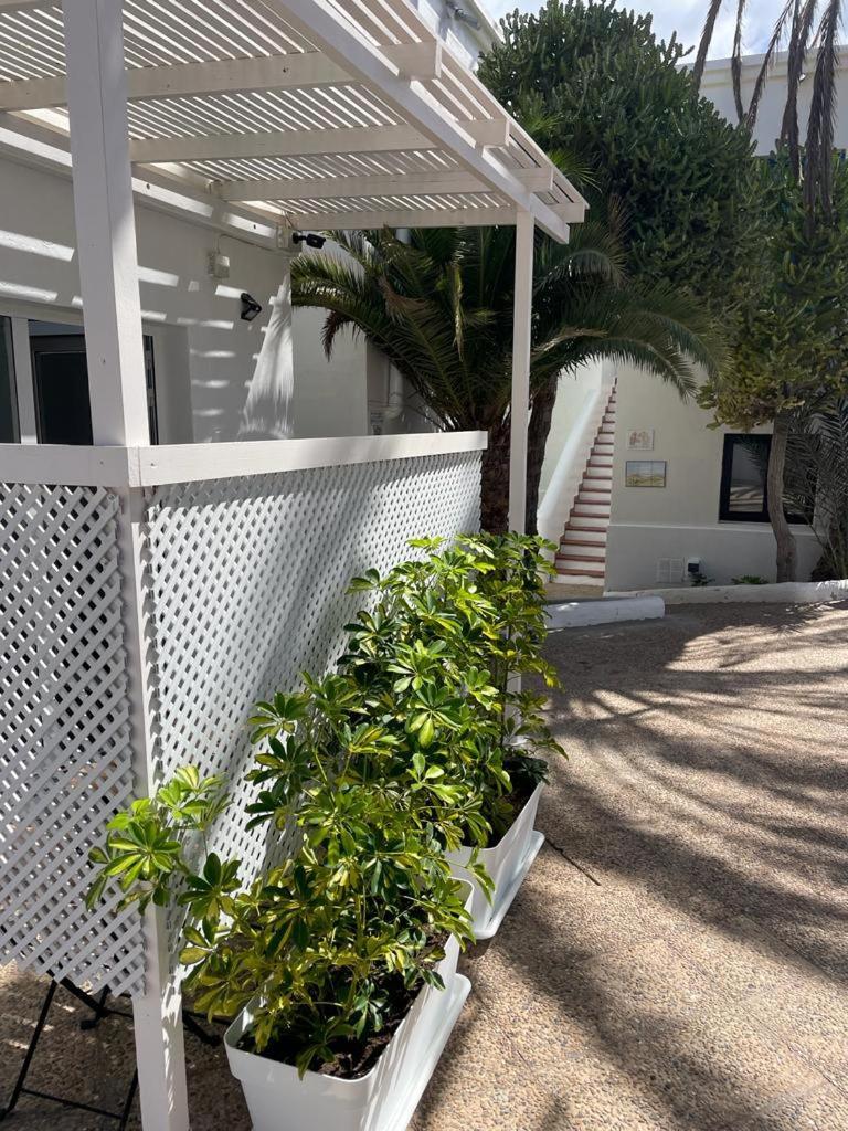 Appartement Punta Elena Corralejo