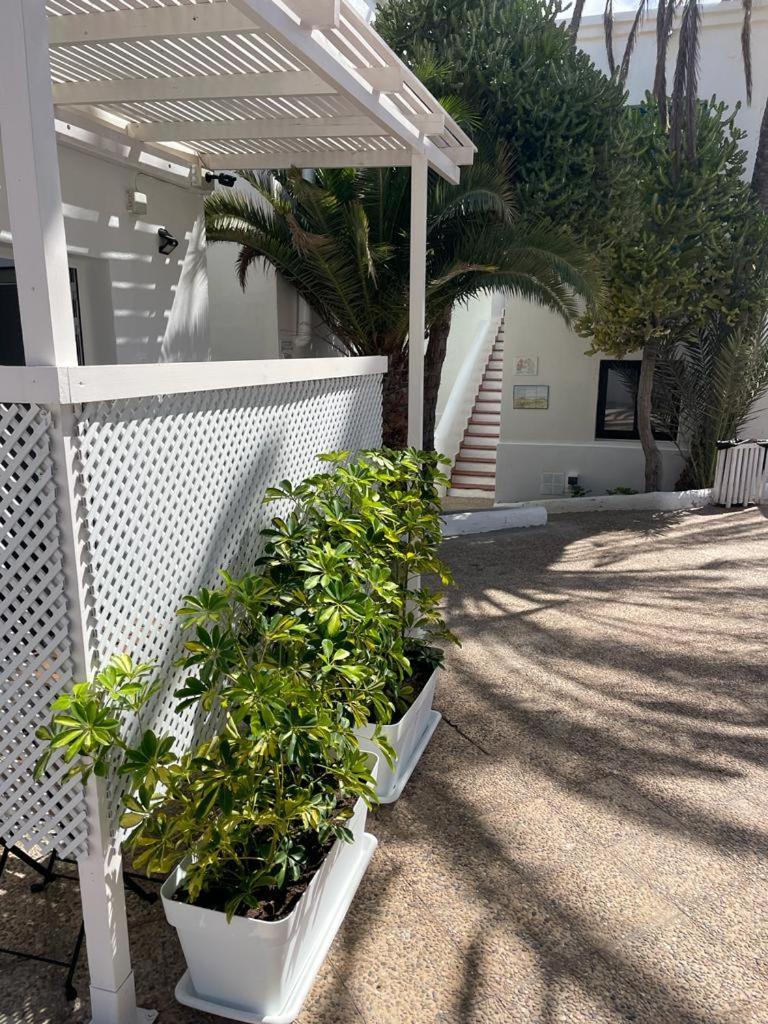 Appartement Punta Elena