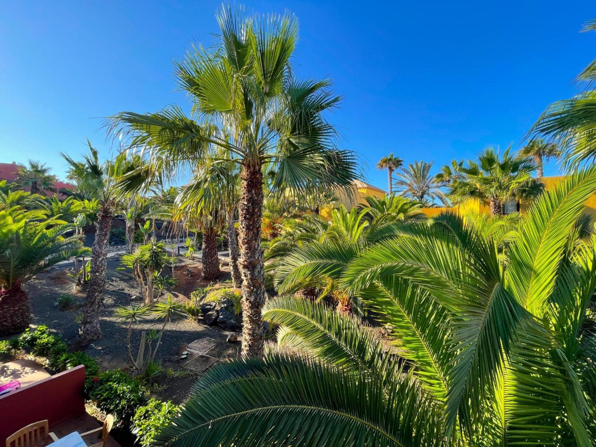 Apartment Oasis Tamarindo By Holidays Fuerteventura *