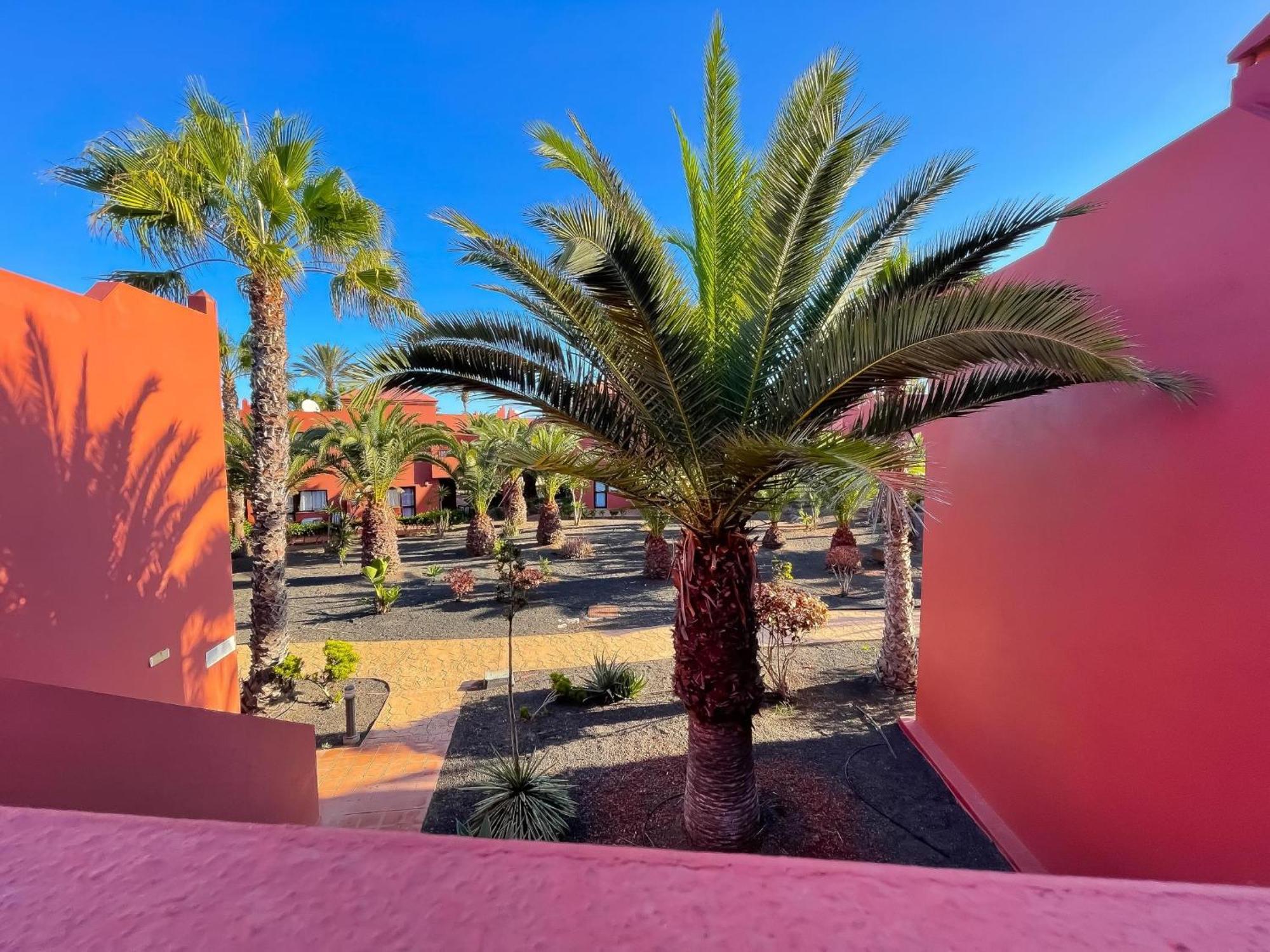 Apartment Oasis Tamarindo By Holidays Fuerteventura