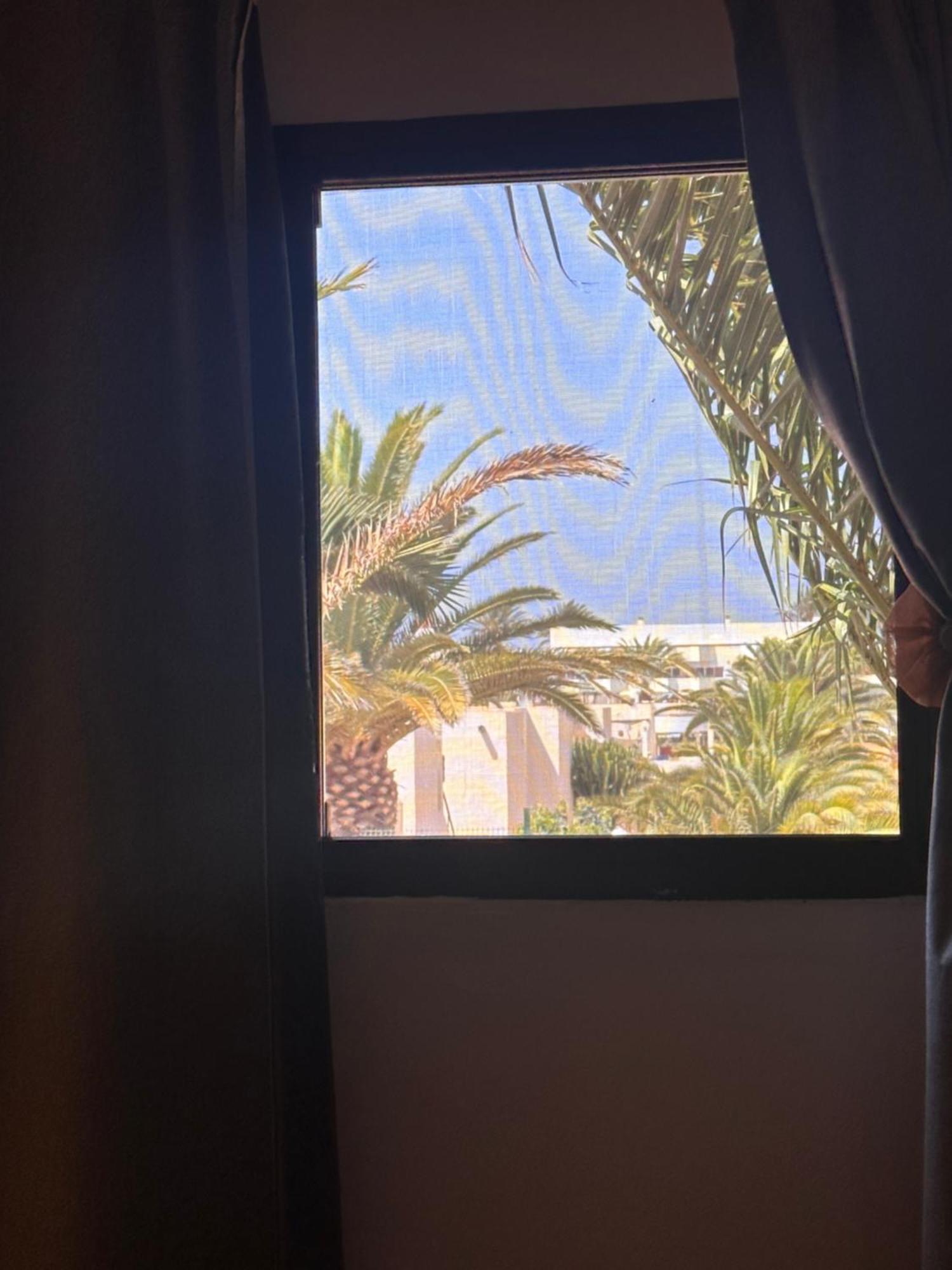 Casa Dunas Oasis Apartment