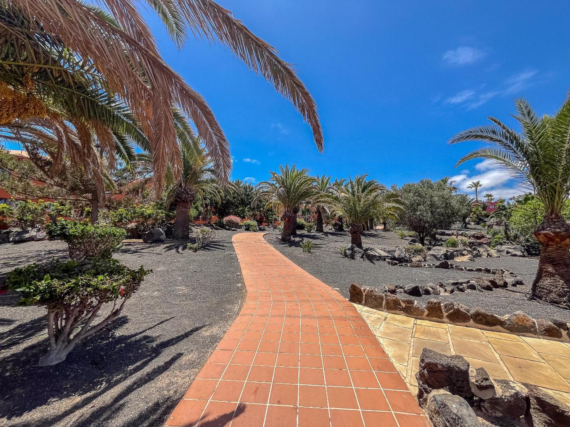 Oasis Royal 14 Vista Piscina By Lightbooking