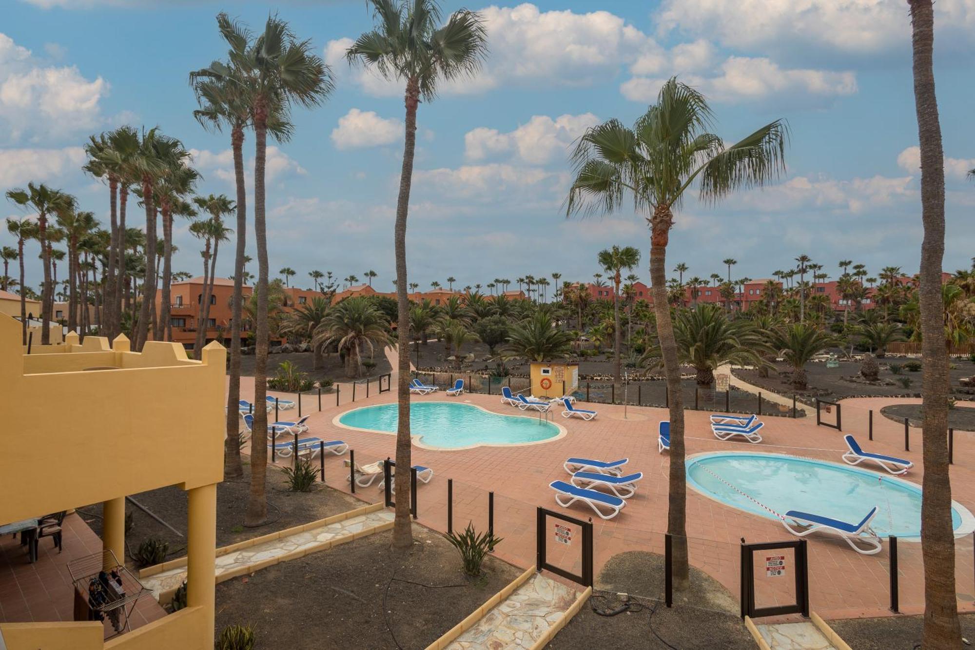 Oasis Royal 14 Vista Piscina By Lightbooking Corralejo