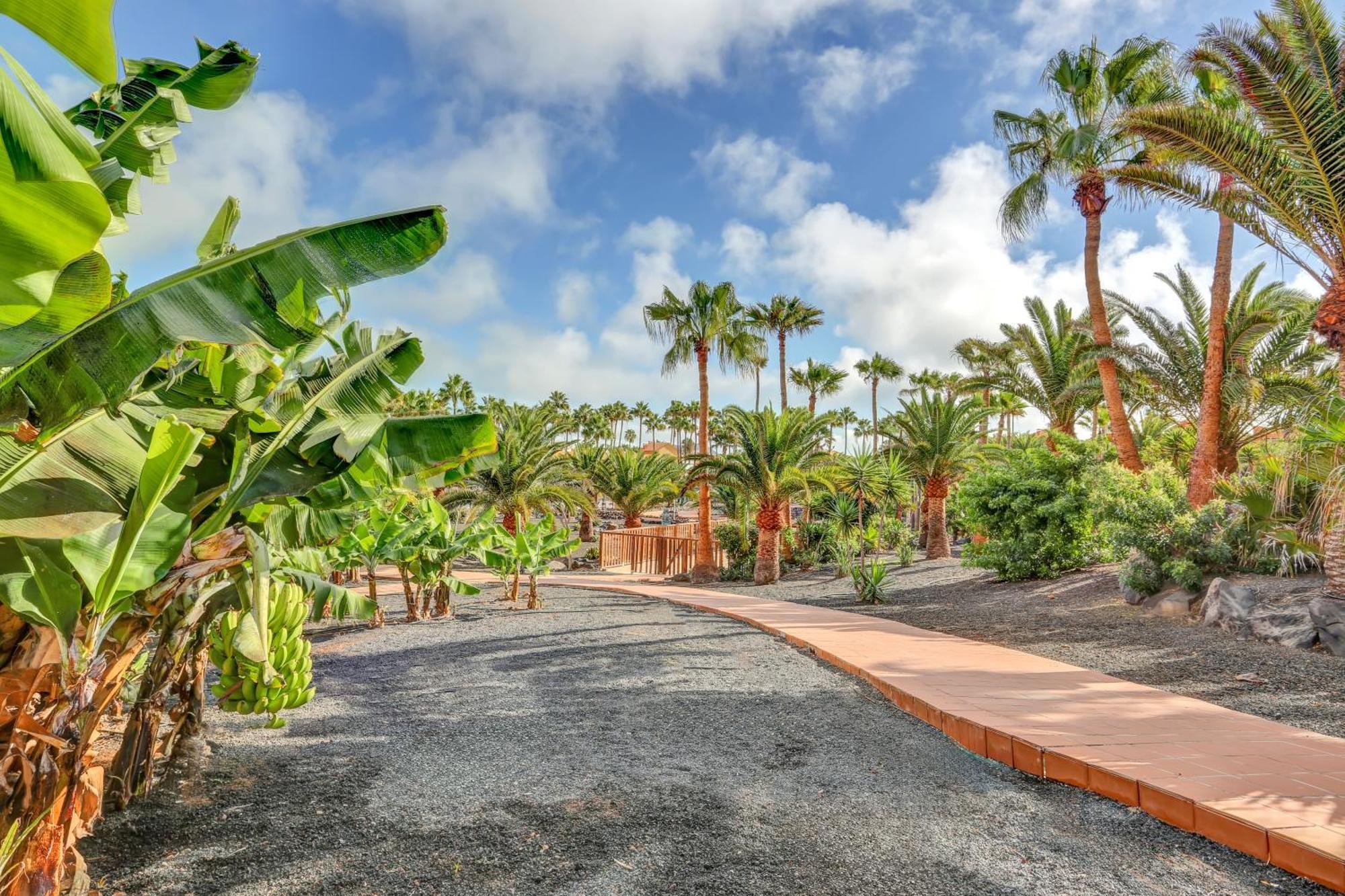 Oasis Royal Apartment Corralejo