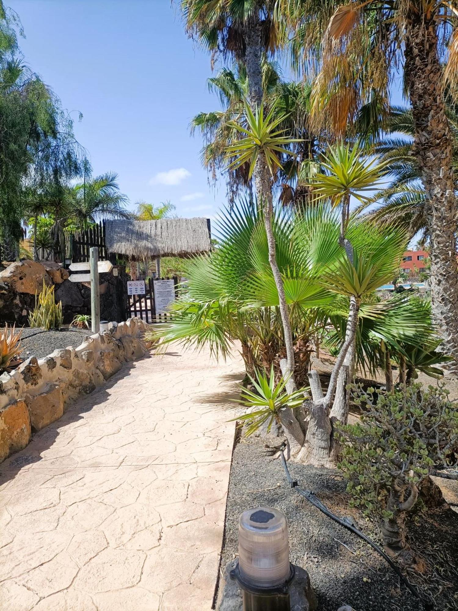 Casa In Oasis Tamarindo Vakantiehuis *
