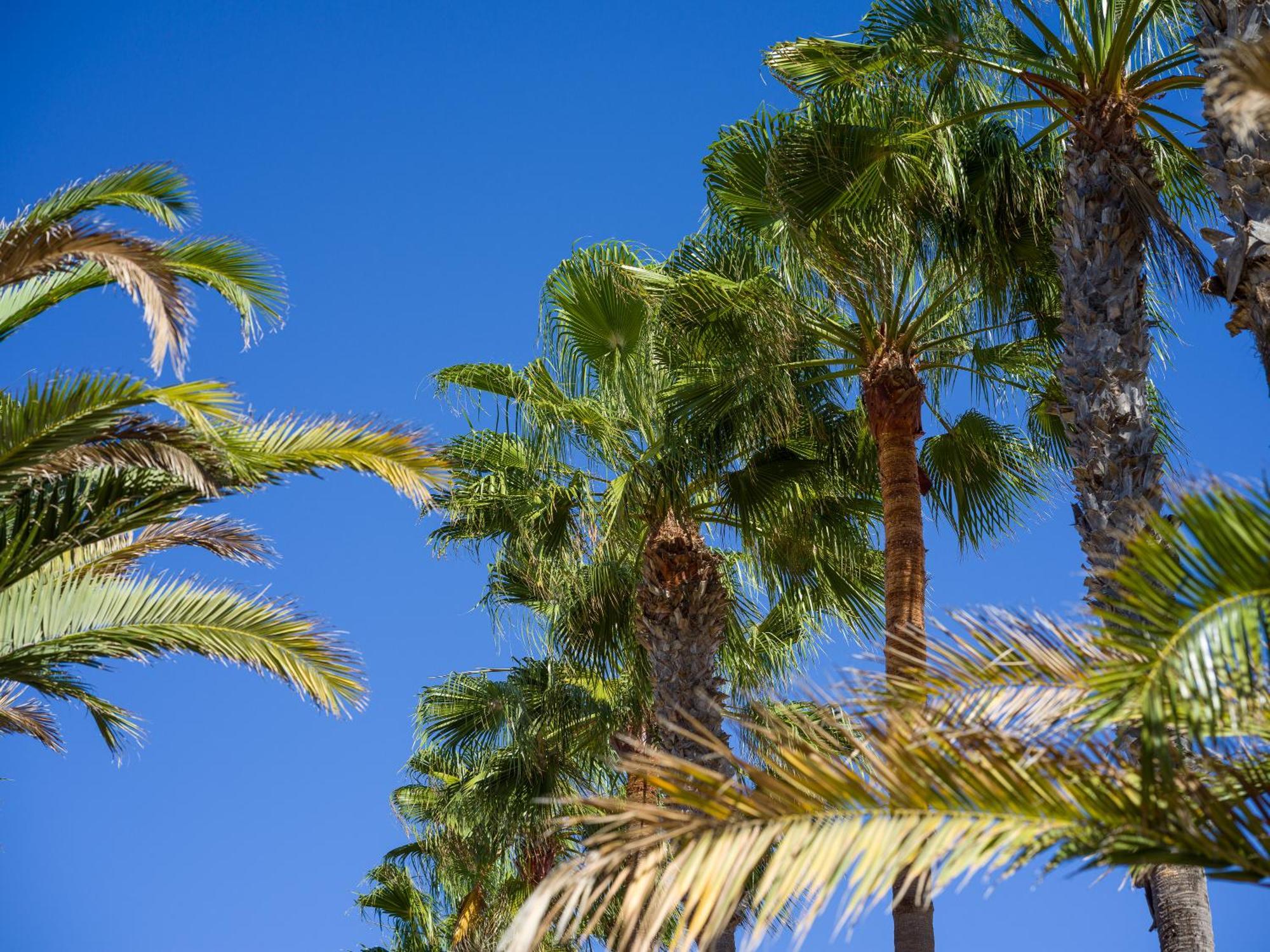 Casa Tindaya - 3 Min Walk To The Holiday home *