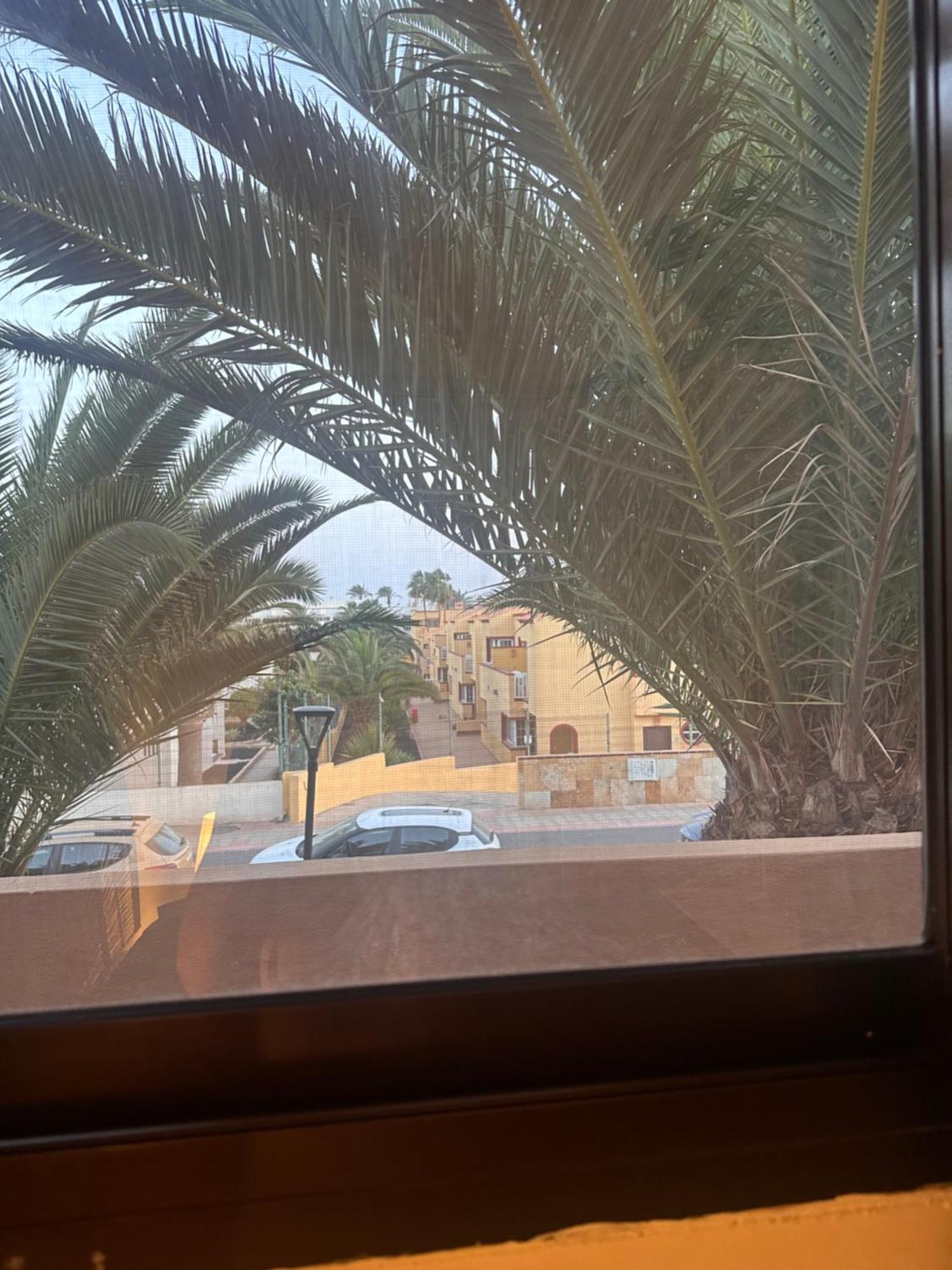 Apartment Casa Dunas Oasis