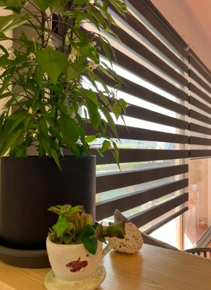 Apartamento La Isla House 5 Minuti Centro-spiaggia *