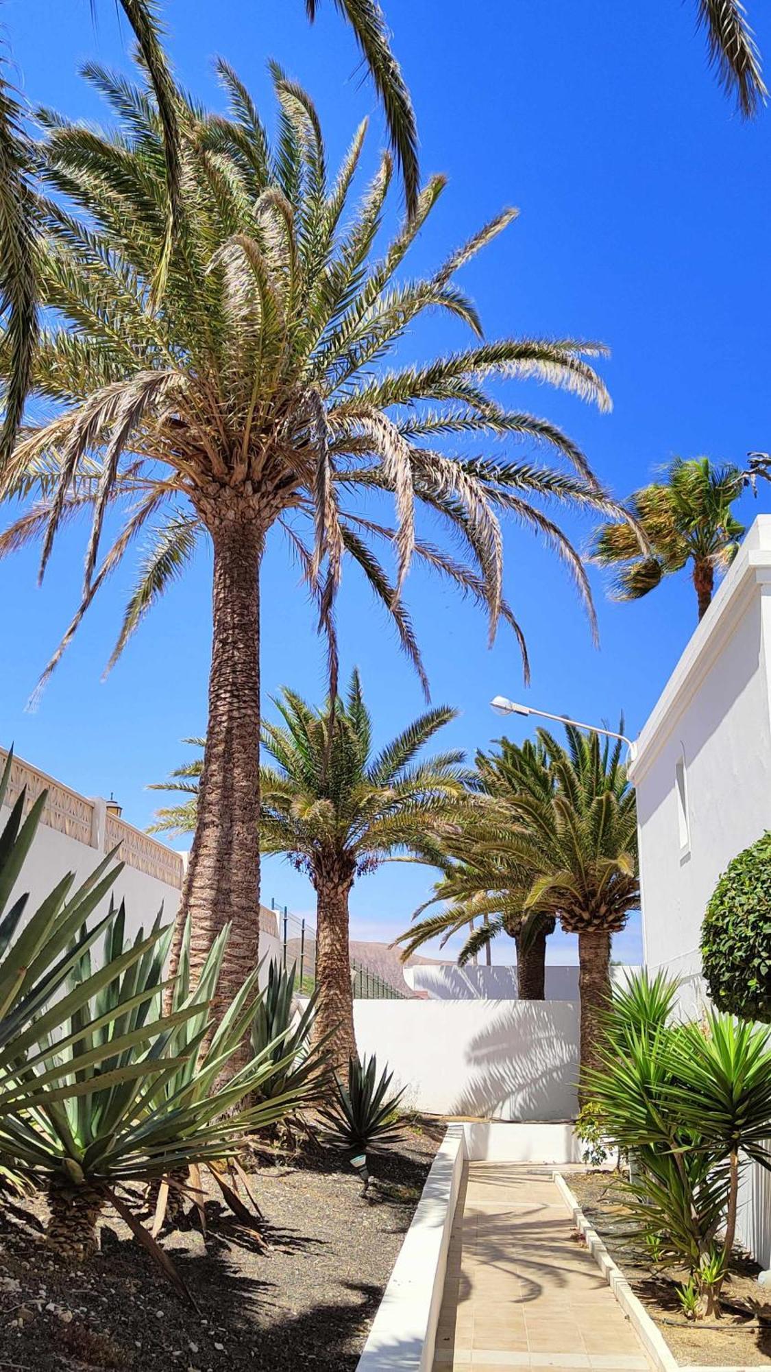 Dunas Pools Wifi Tennis Relax * Corralejo