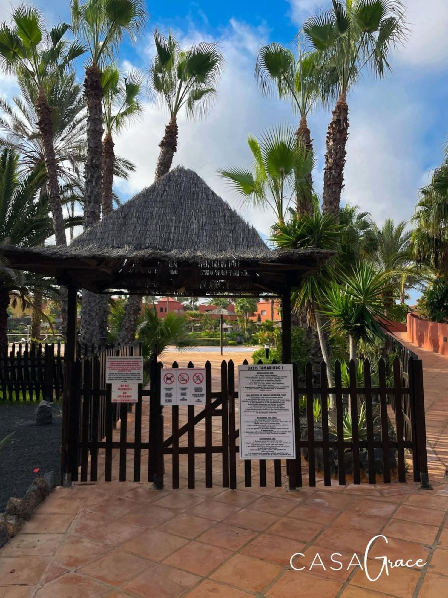 Tamarindo 1 Casa Grace Wifi Free Pool View By Rentalfue