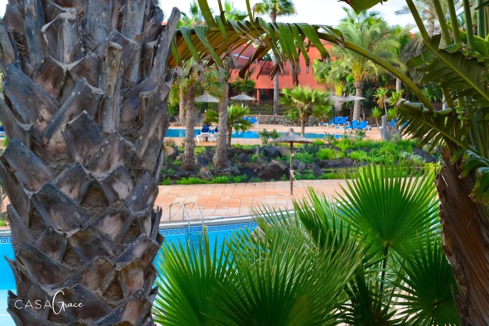 Apartment Tamarindo 1 Casa Grace Wifi Free Pool View By Rentalfue