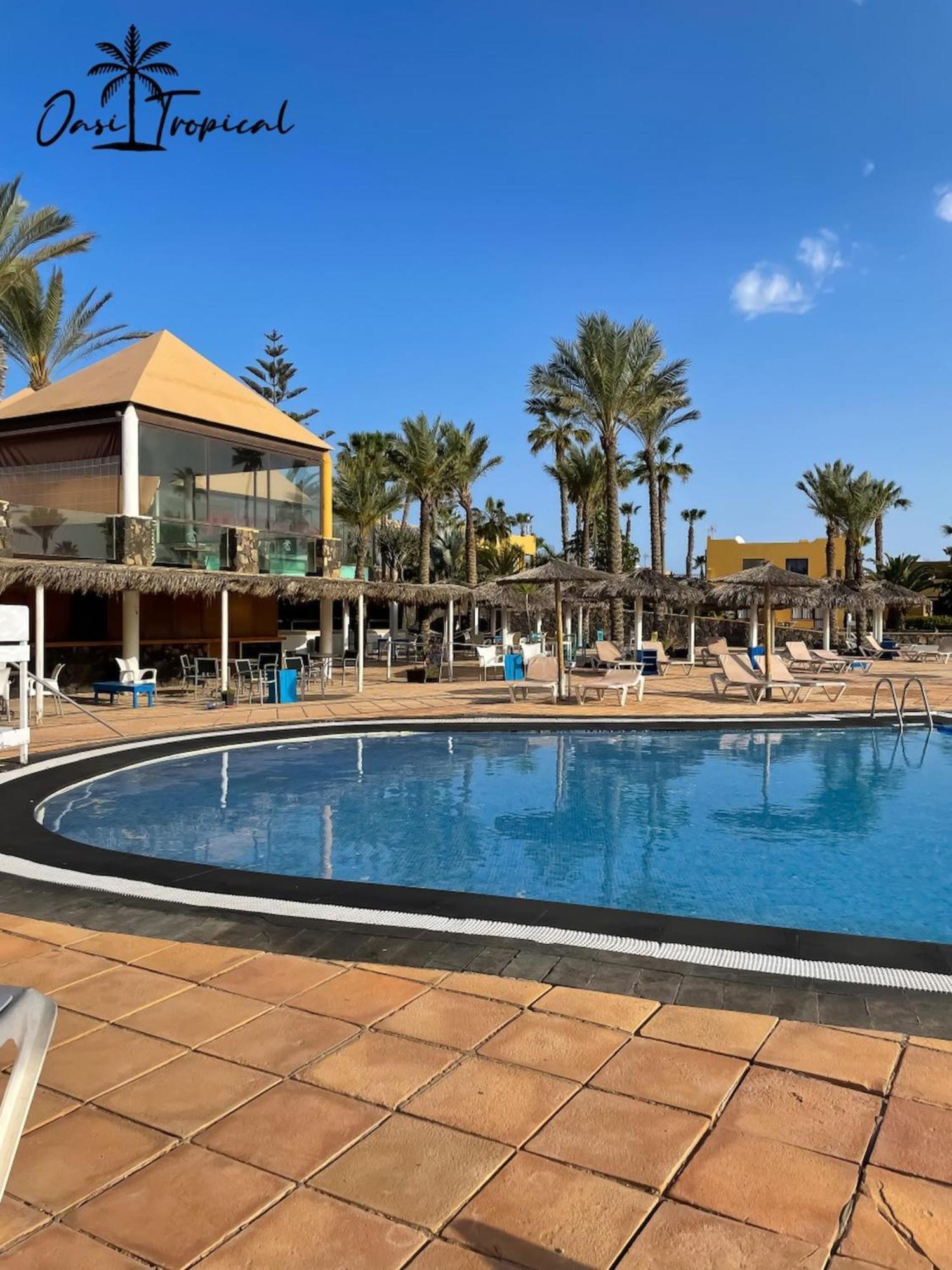 Oasi Tropical Wifi Free By Rentalfue Apartamento *