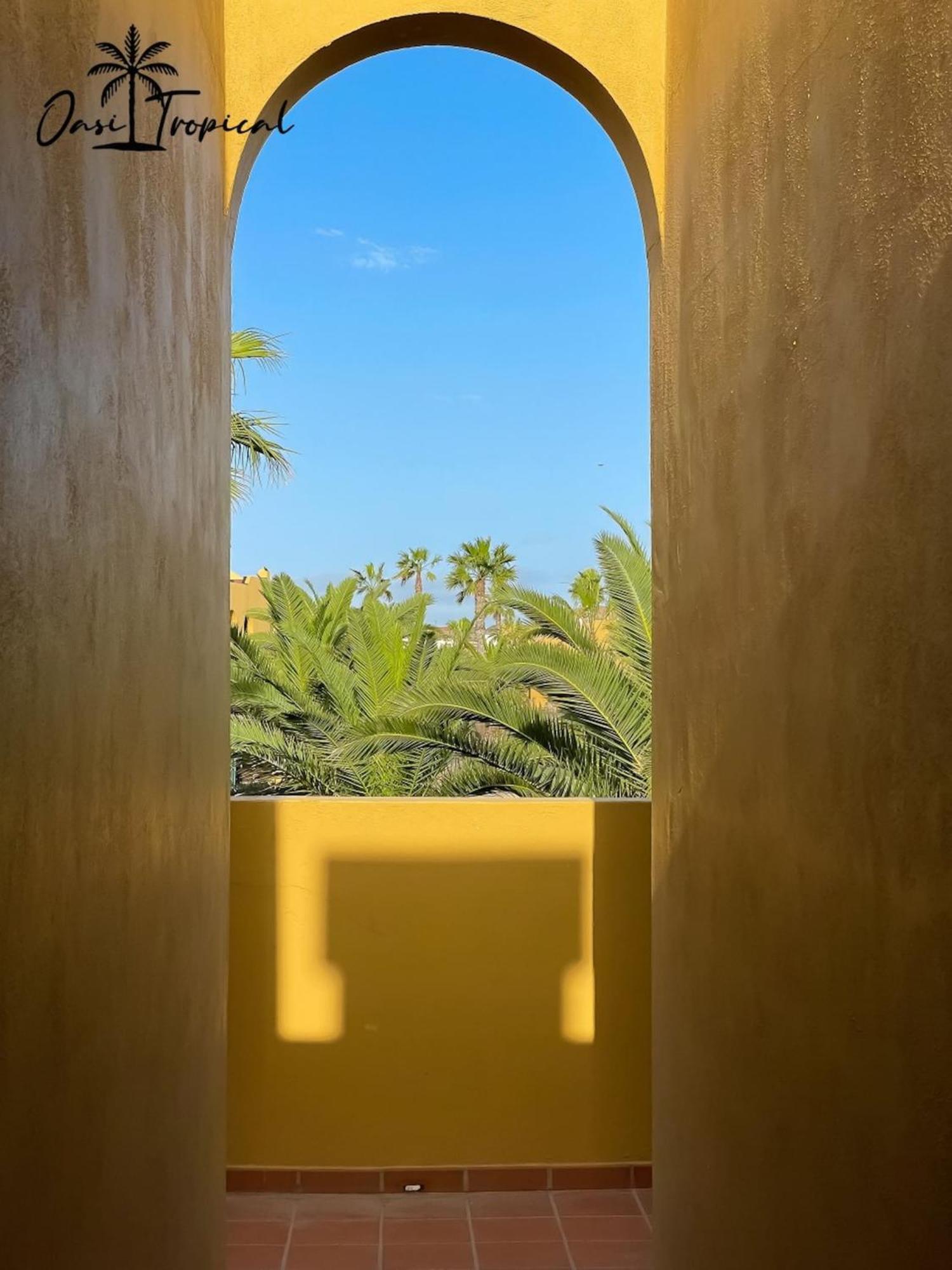 Apartamento Oasi Tropical Wifi Free By Rentalfue *