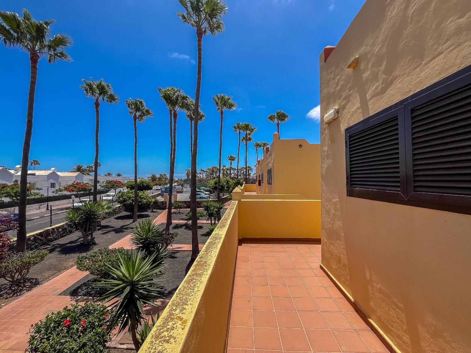 Apartamento Oasis Royal F312 *