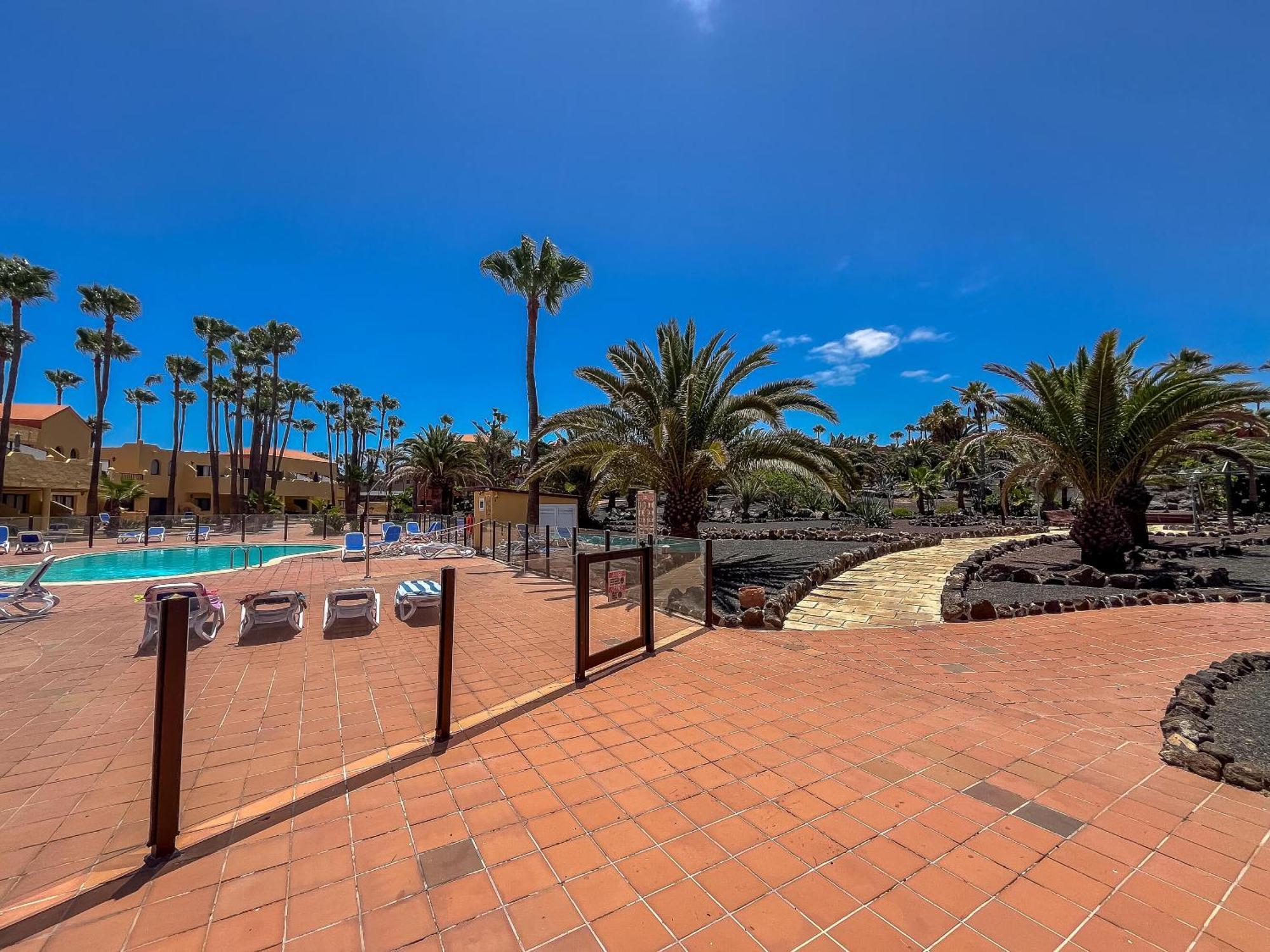 Oasis Royal 14 Vista Piscina By Lightbooking *