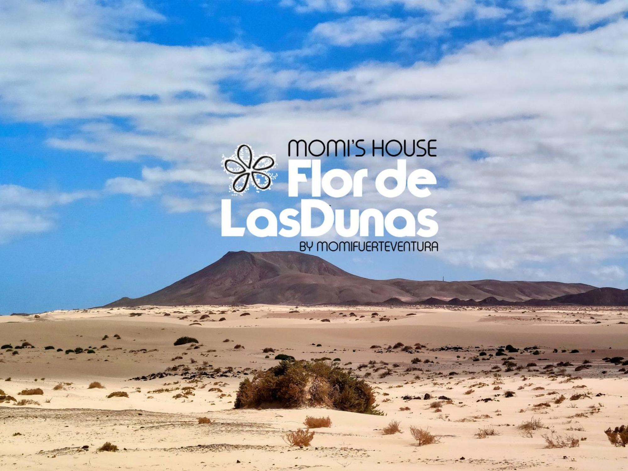 Momi's House Flor De Dunas By Momi Fuerteventura Corralejo