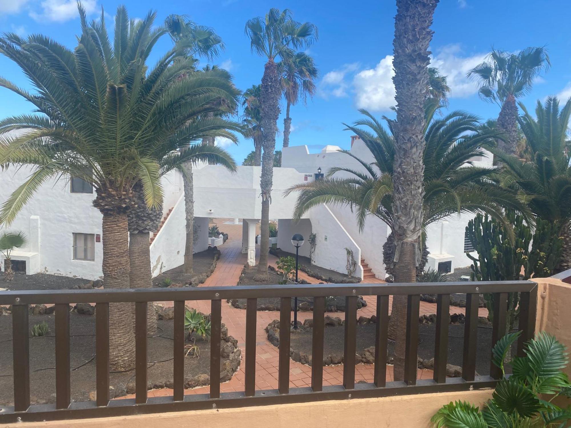 Apartment Margarita C129 Oasis Duna
