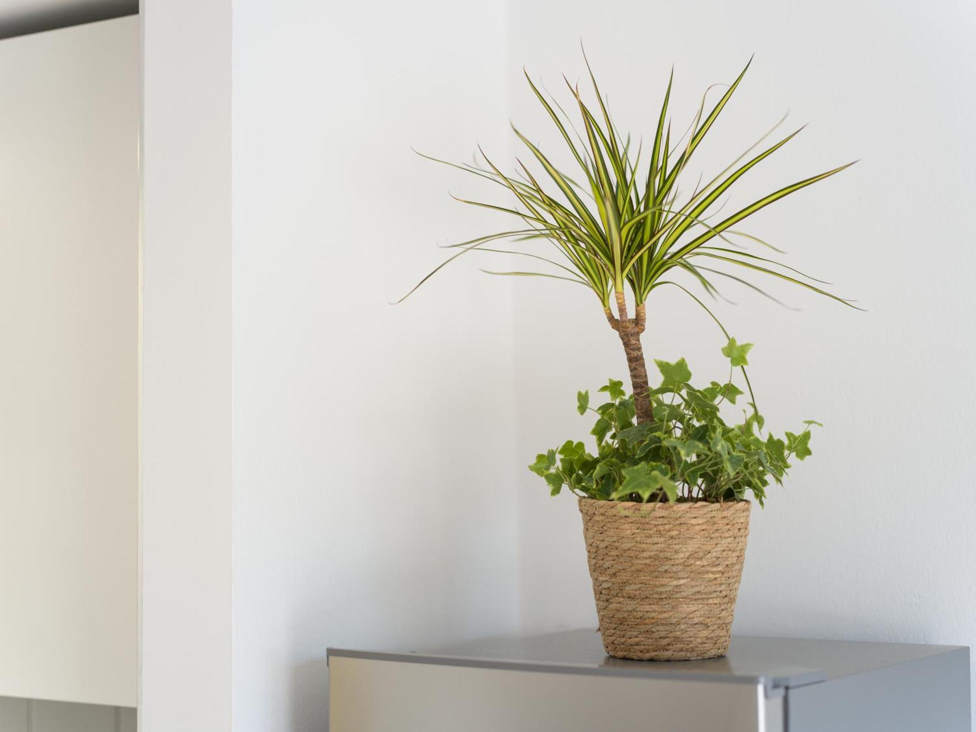 Astarita House Relax E Comfort In Apartment Corralejo