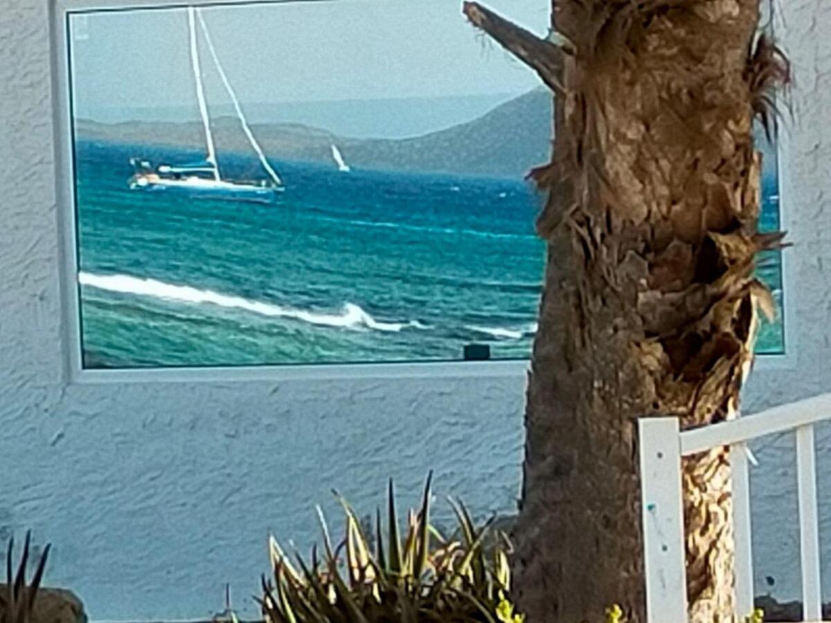 Plaza La Molinera Corralejo