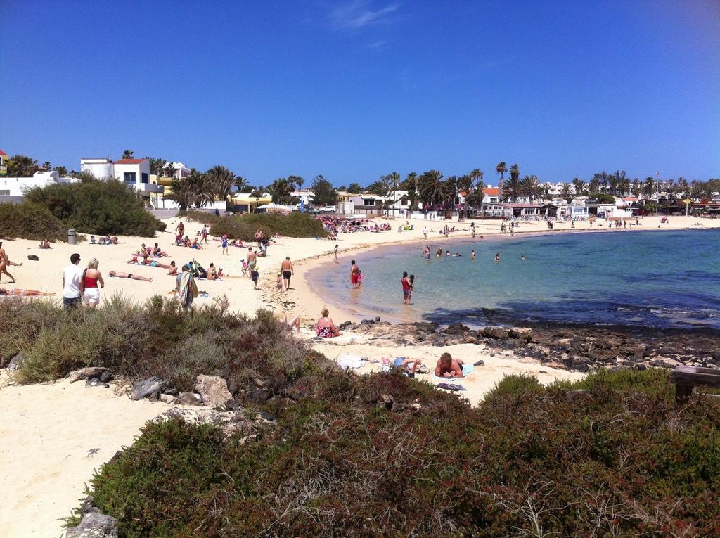 Carpe Diem In Verdemar