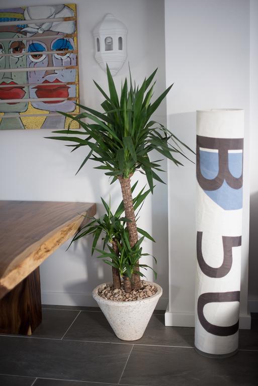 Drago Homes Appartement *
