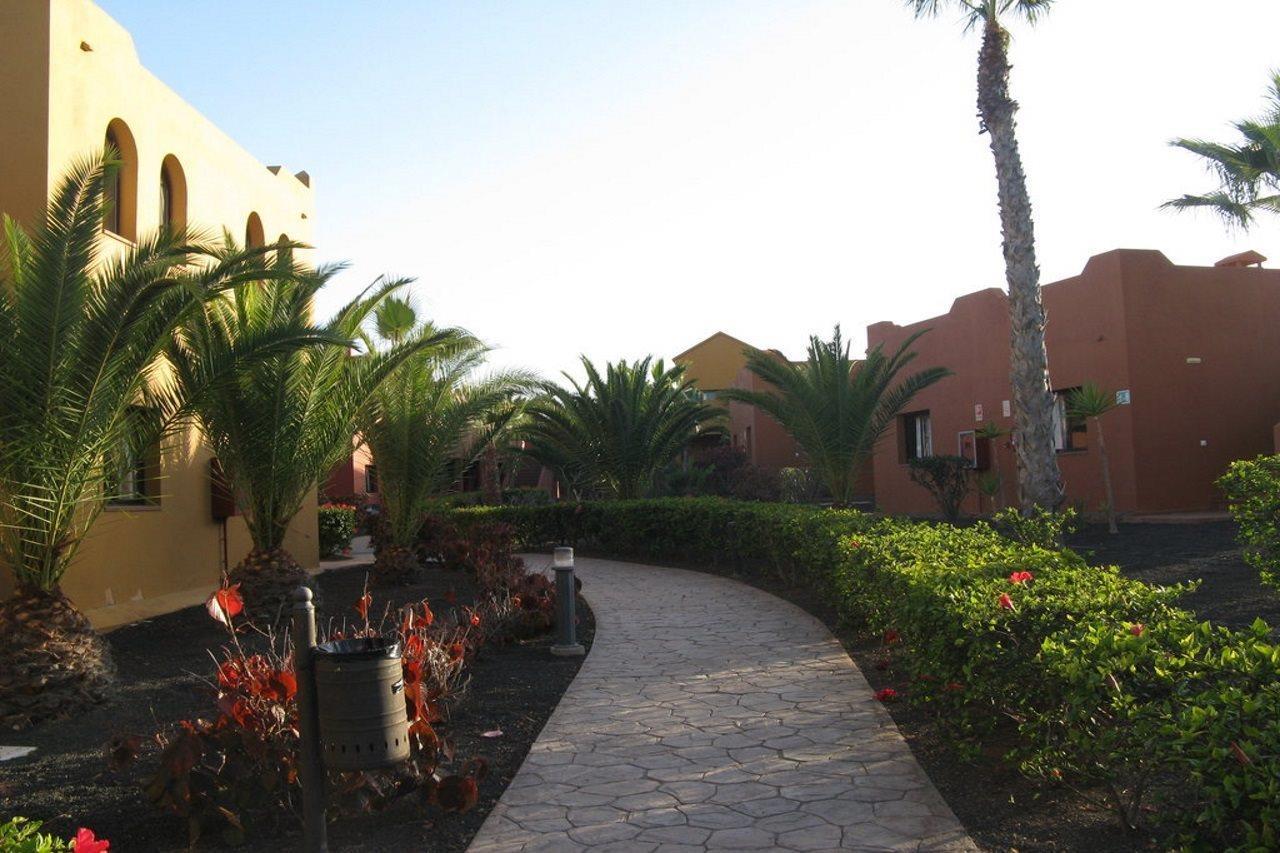 Villa House Oasis *