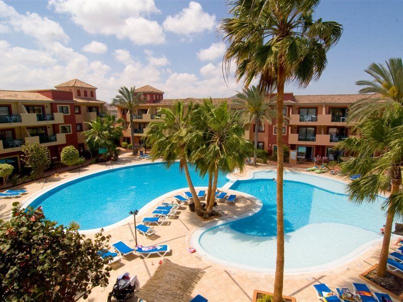 O7 Aloe Corralejo