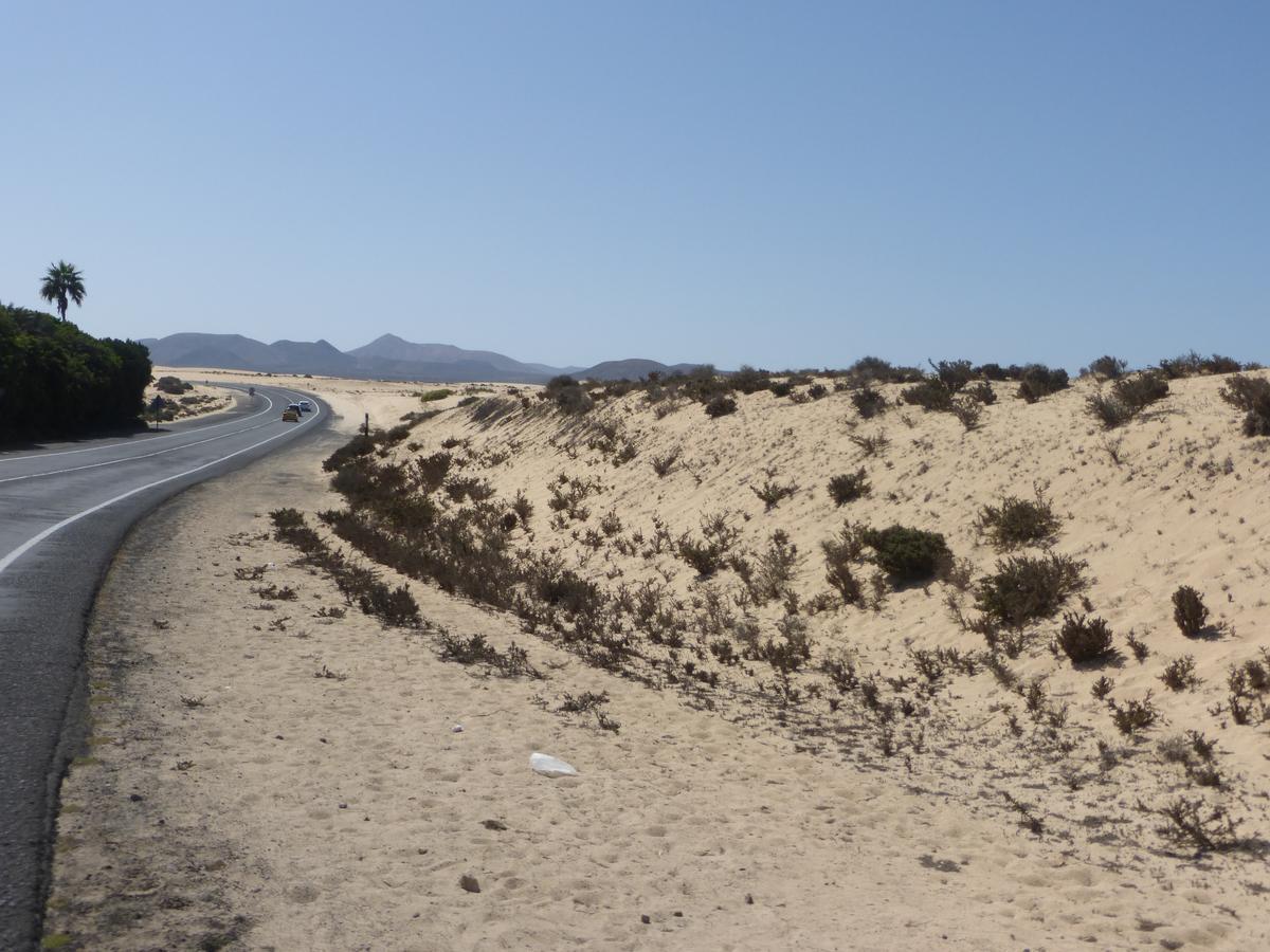 Marvida Corralejo