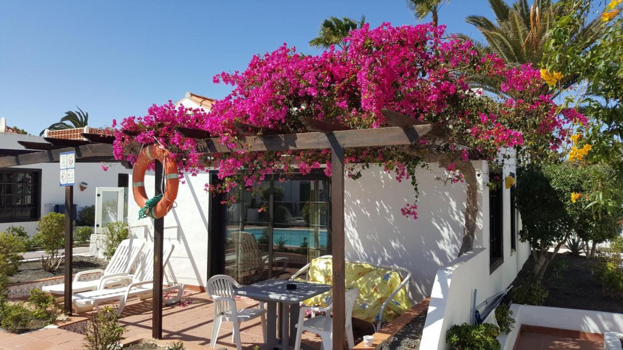 La Concha Del Mar