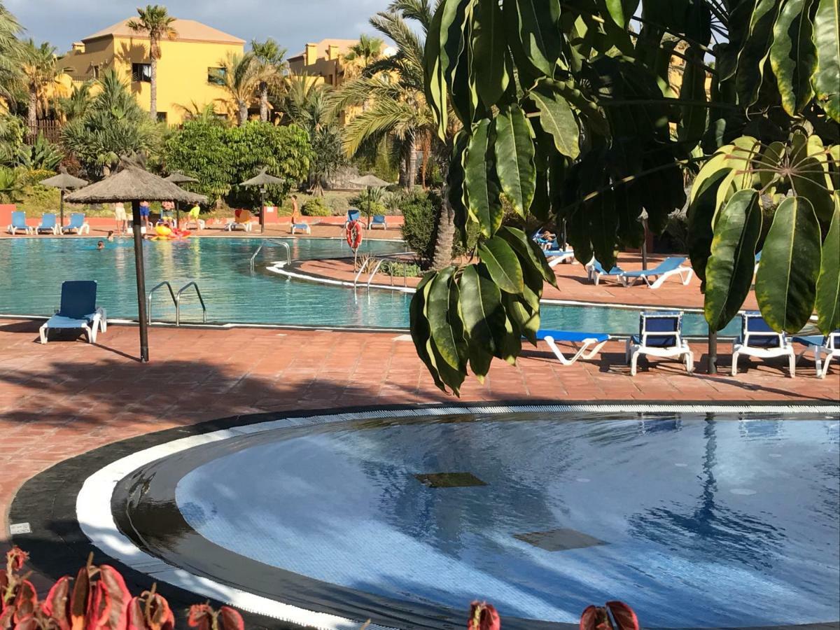 Appartement My Pretty - Lovely And Spacious Surrounded By Tropical Gardens - Private Covered And Uncovered Terrace - Pool - Parking - Free Fibre Optic Internet *