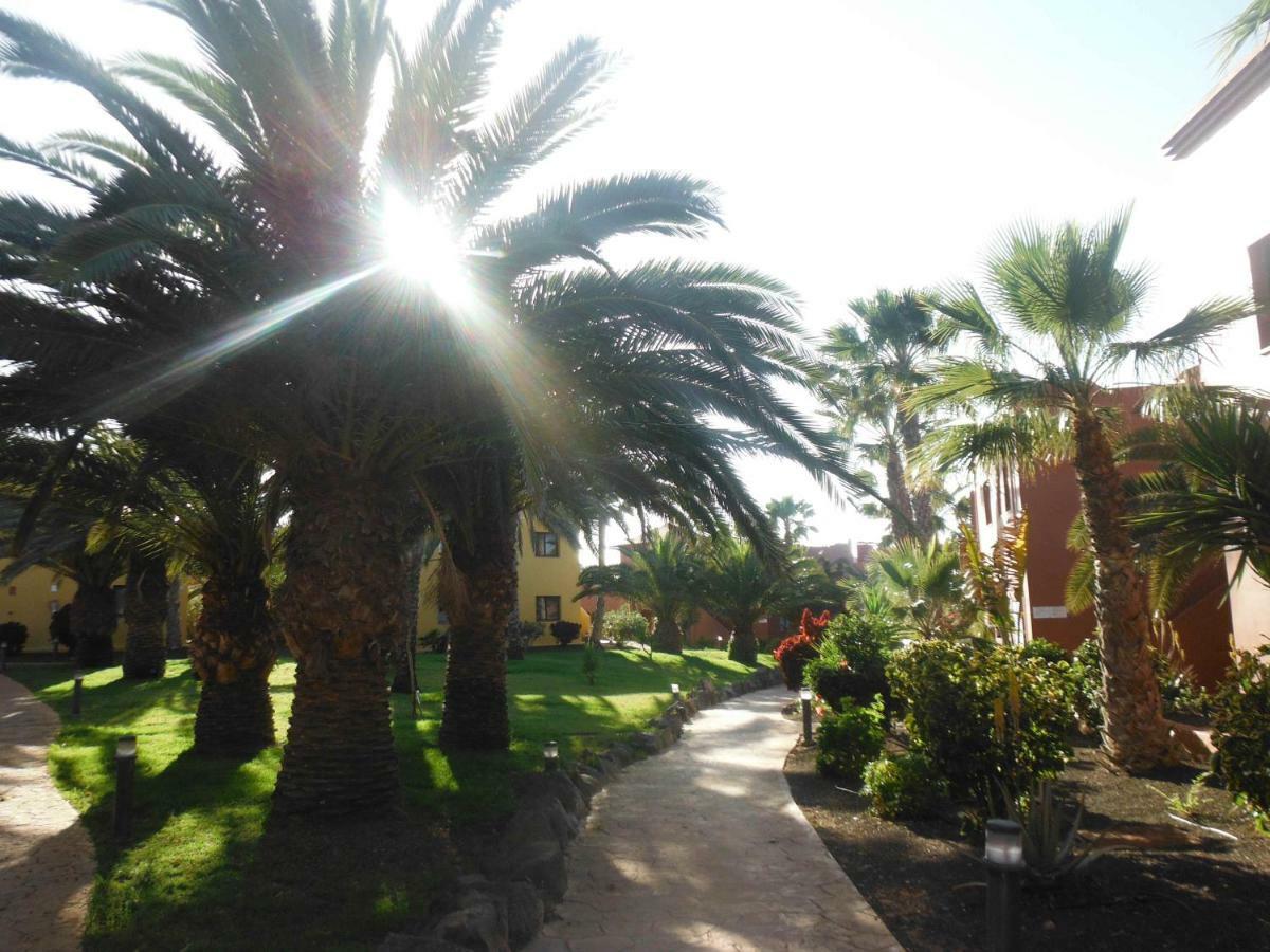 Oasis Vistamar * Corralejo