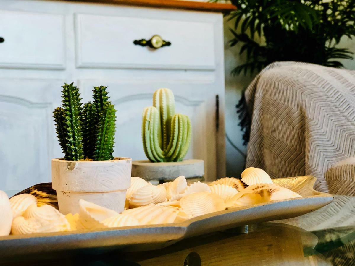 Apartment Cactus