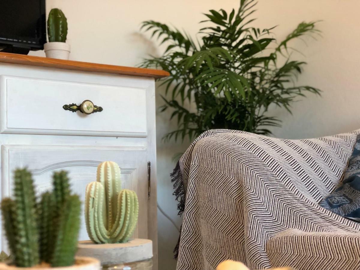 Cactus Apartment *