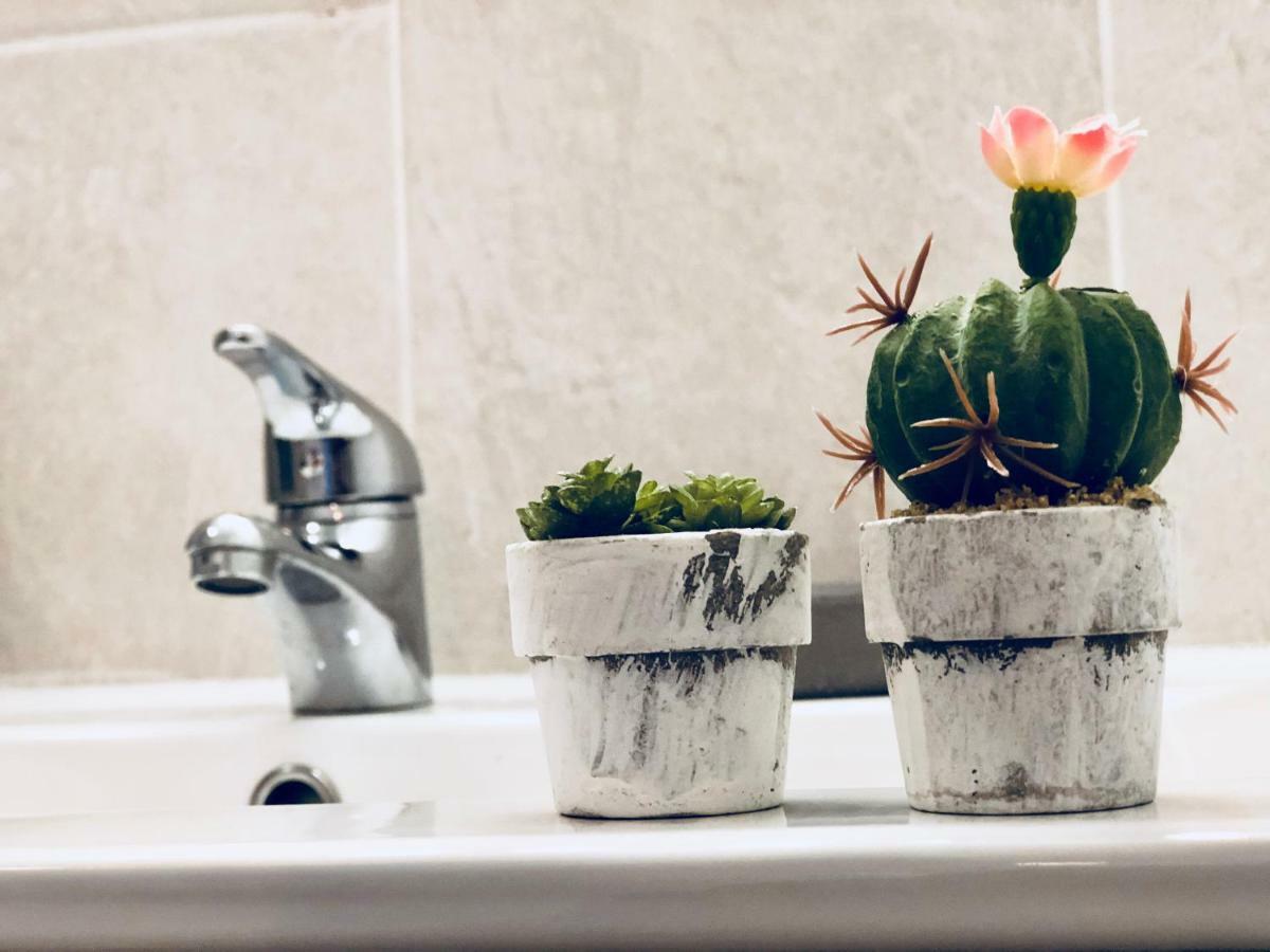 Cactus