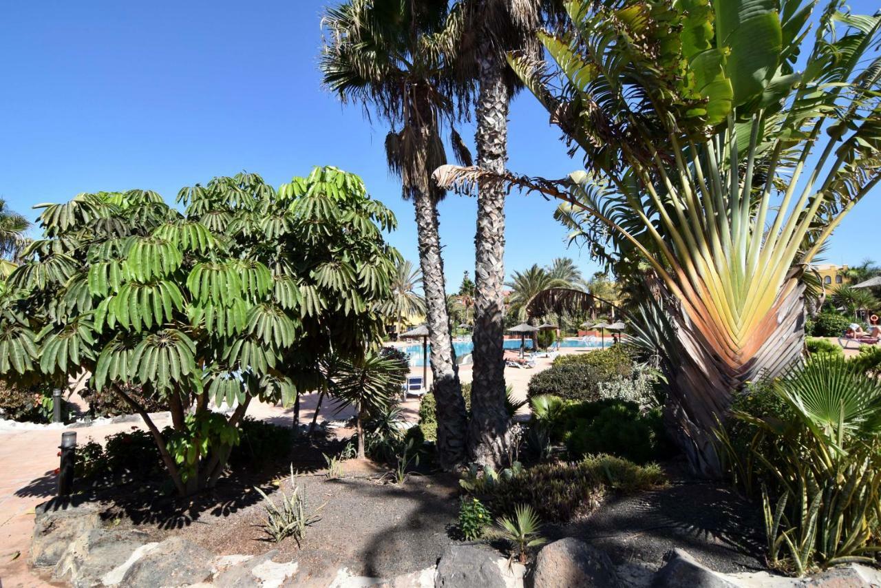 Casa Sergio * Corralejo